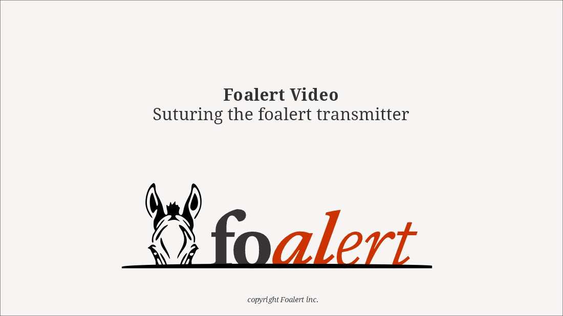 Load video: 