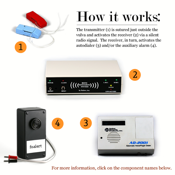 components_overall_B