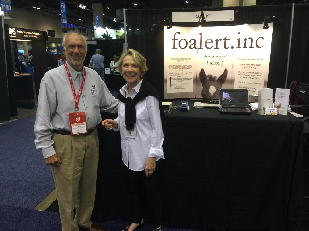 barbarasuatterstonehenge